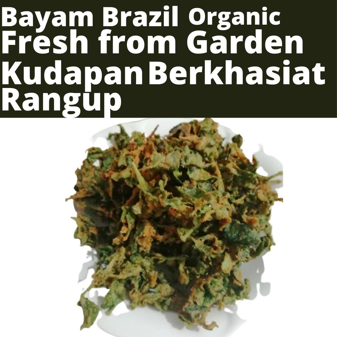 Kudapan Kerepek Bayam Brazil Organic 340 Gram Food Drinks Packaged Snacks On Carousell