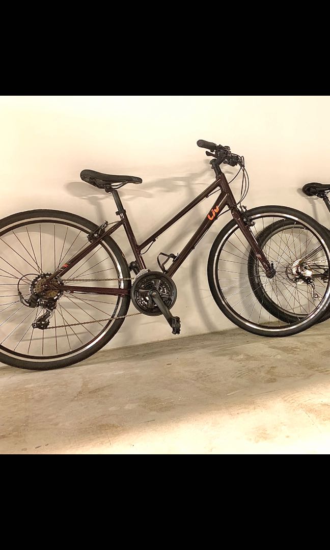 Liv Alight 3 (2019) Hybrid Bike, Sports 