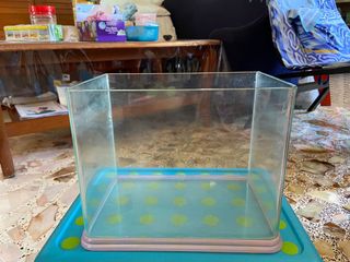 (Category: ) located in . Submitted by plantedtank09 (Listing ID 1107288852, Image 1). Description: .