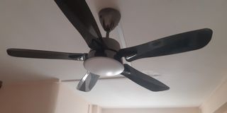 (Category: ) located in . Submitted by balista (Listing ID 1107237654, Image 1). Description: .