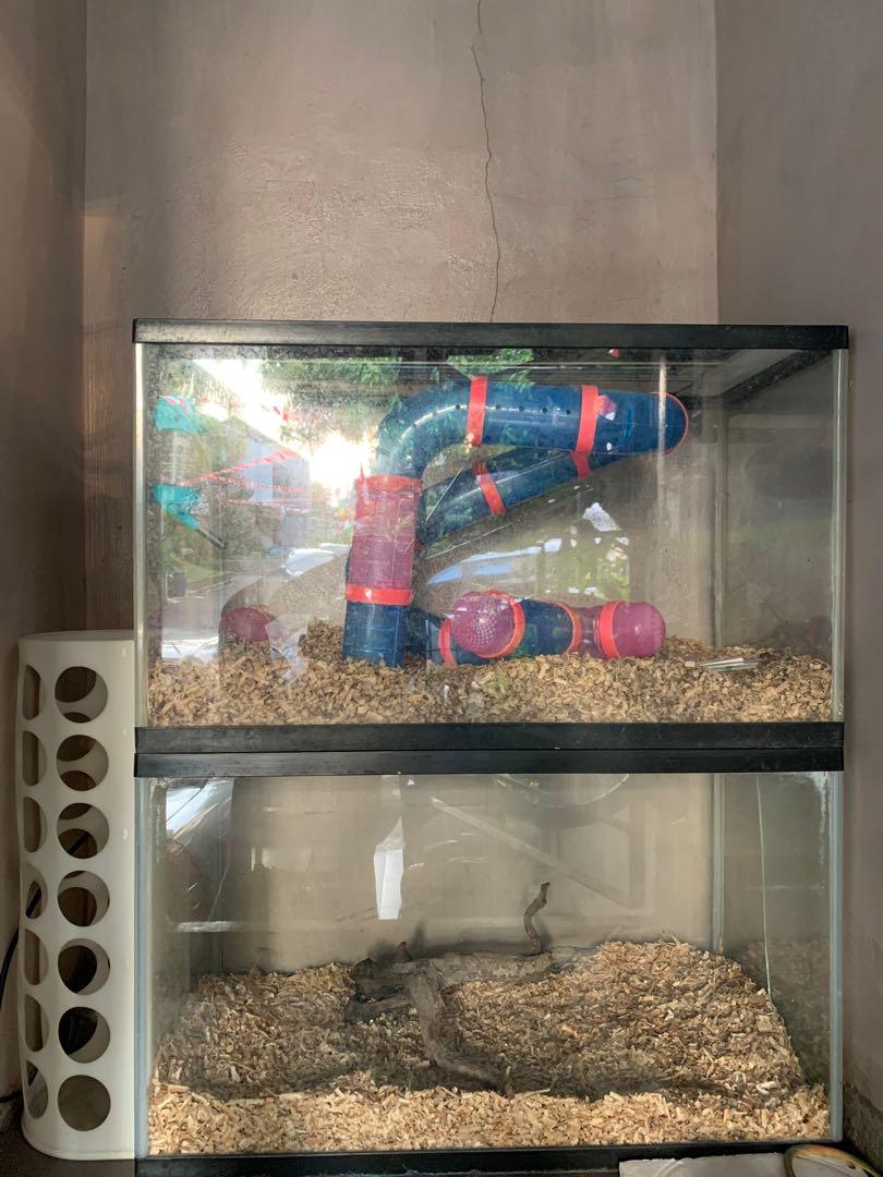 Gg6dr7dquplmym Aquarium tinggi 60 cm Gg6dr7dquplmym Aquarium tinggi 60 cm