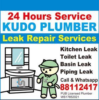 Repair Water Leak - Plumber 88112417