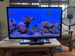 (Category: ) located in . Submitted by doms31330 (Listing ID 1107249655, Image 1). Description: .