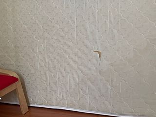 (Category: ) located in . Submitted by tlhuii (Listing ID 1107298463, Image 1). Description: .
