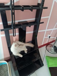 (Category: ) located in . Submitted by fiah_thng (Listing ID 1107333583, Image 1). Description: .