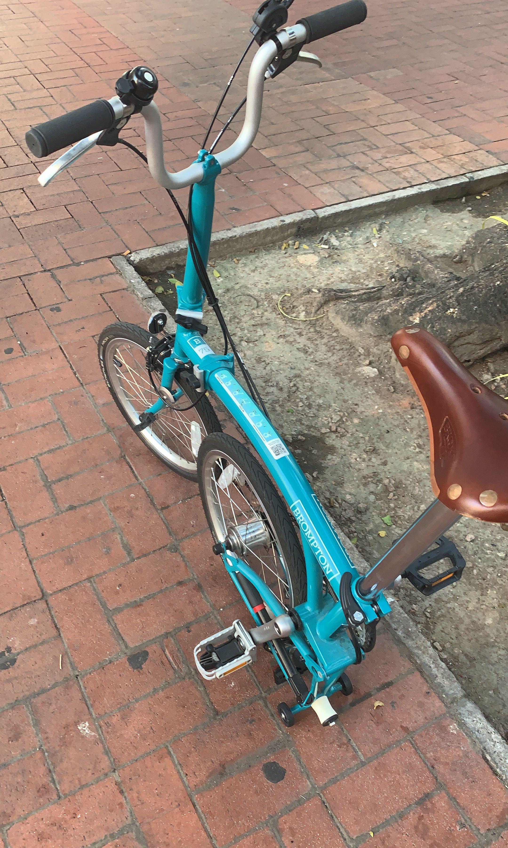 Brompton B75 Carousell