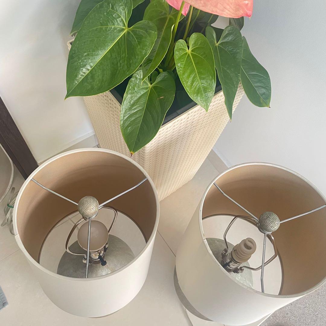 (SOLD) Crate&Barrel Vera Champagne Table Lamp, Furniture & Home Living, Lighting & Fans