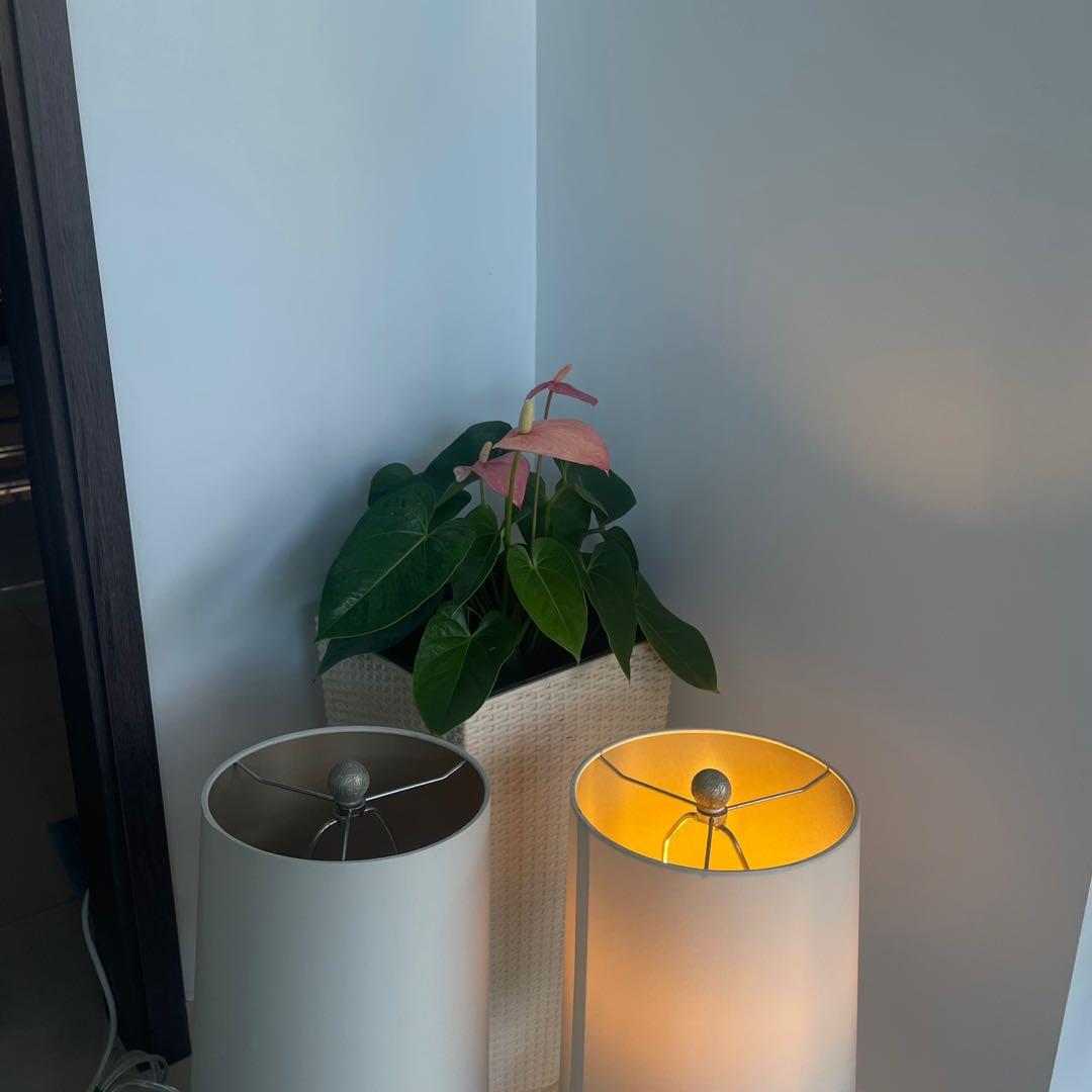 (SOLD) Crate&Barrel Vera Champagne Table Lamp, Furniture & Home Living, Lighting & Fans