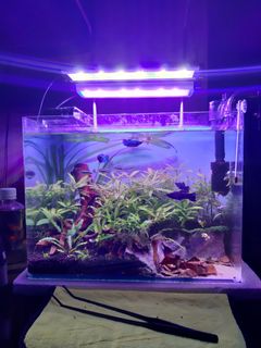 (Category: ) located in . Submitted by akmalmazrul (Listing ID 1107555247, Image 1). Description: .