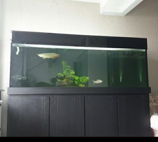 (Category: ) located in . Submitted by r_1986 (Listing ID 1107617920, Image 1). Description: .