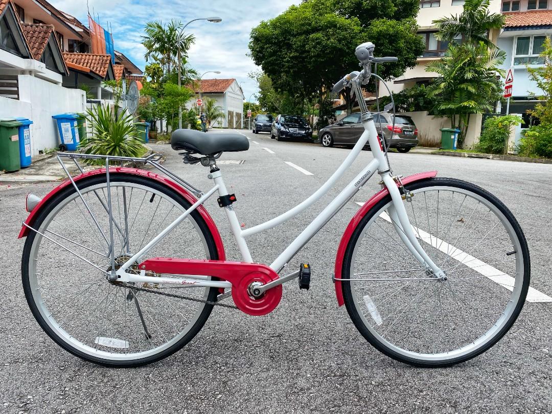 giant momentum ladies bike