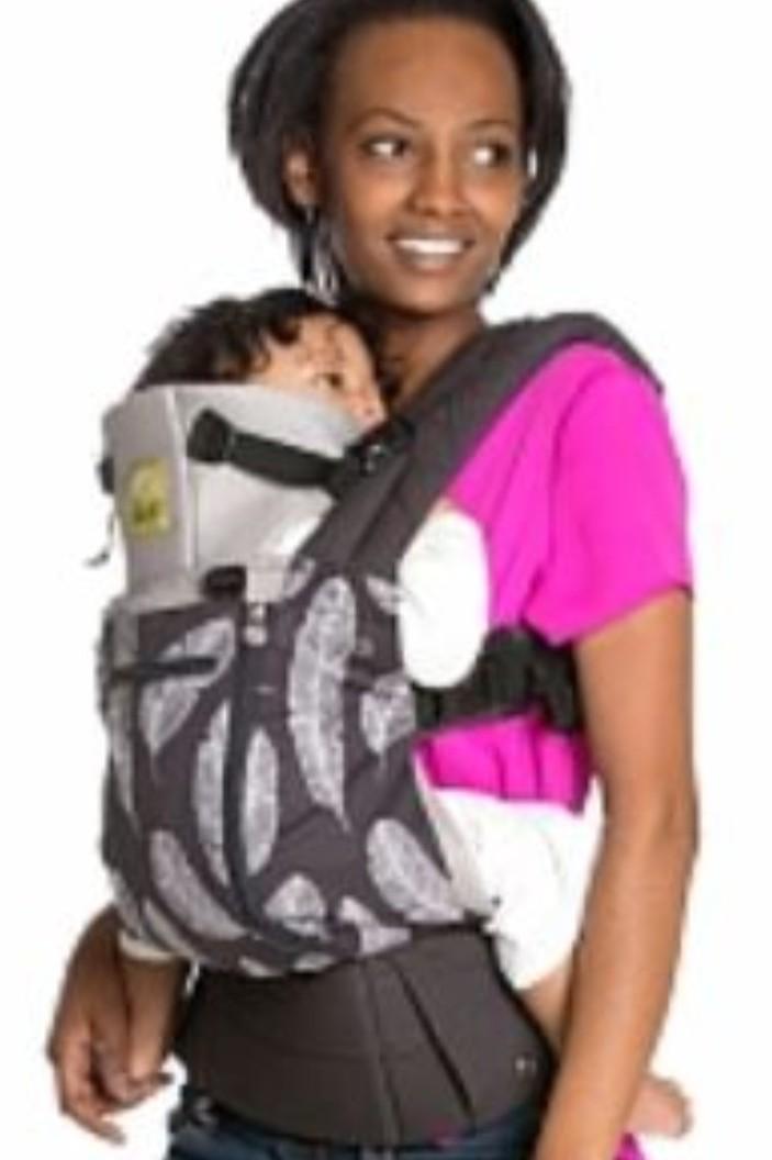 LilleBaby Complete All Seasons 3D Mesh Baby and Child Carrier
