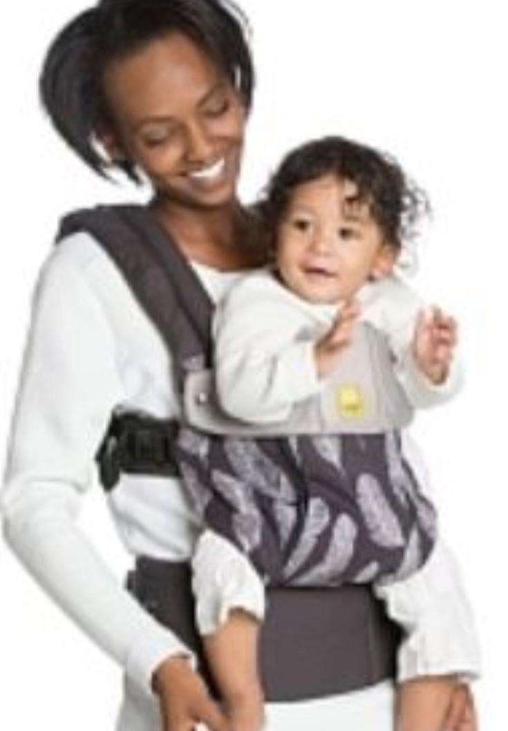 LilleBaby Complete All Seasons 3D Mesh Baby and Child Carrier
