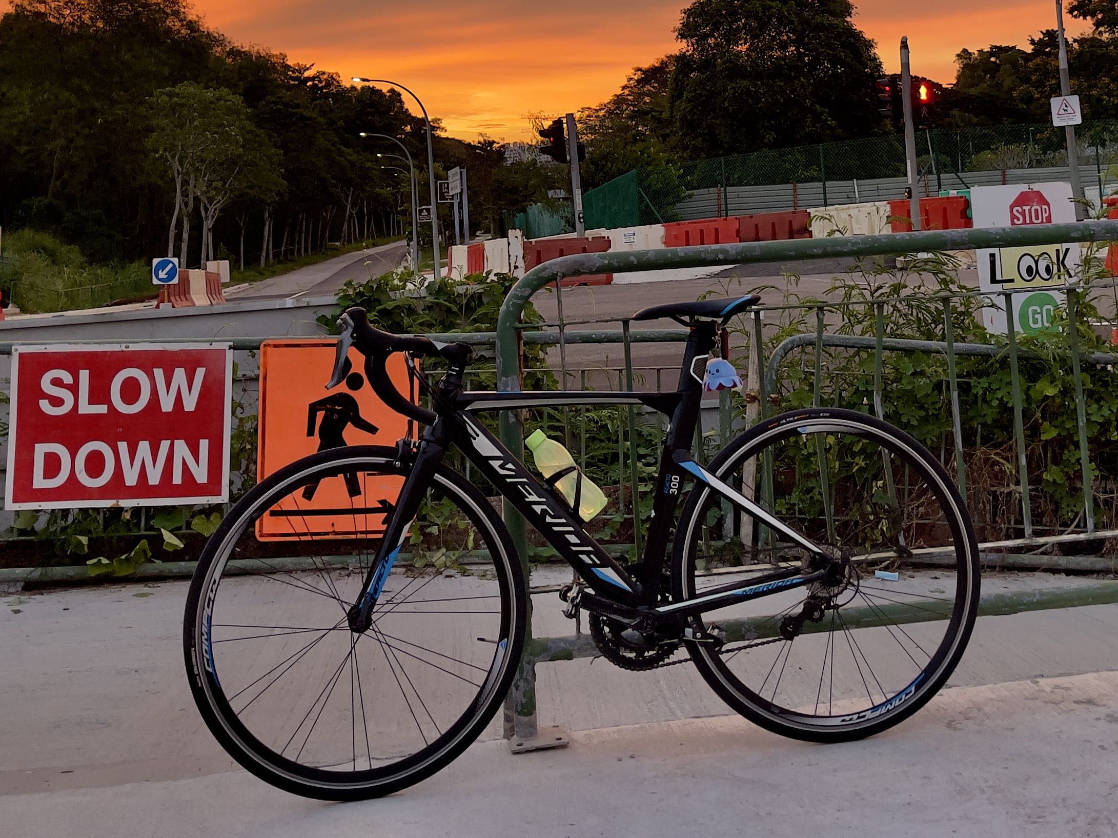 Merida reacto 300 online 2019