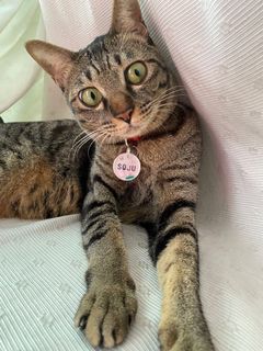 (Category: ) located in . Submitted by tag_a_fluff (Listing ID 1107662523, Image 1). Description: .