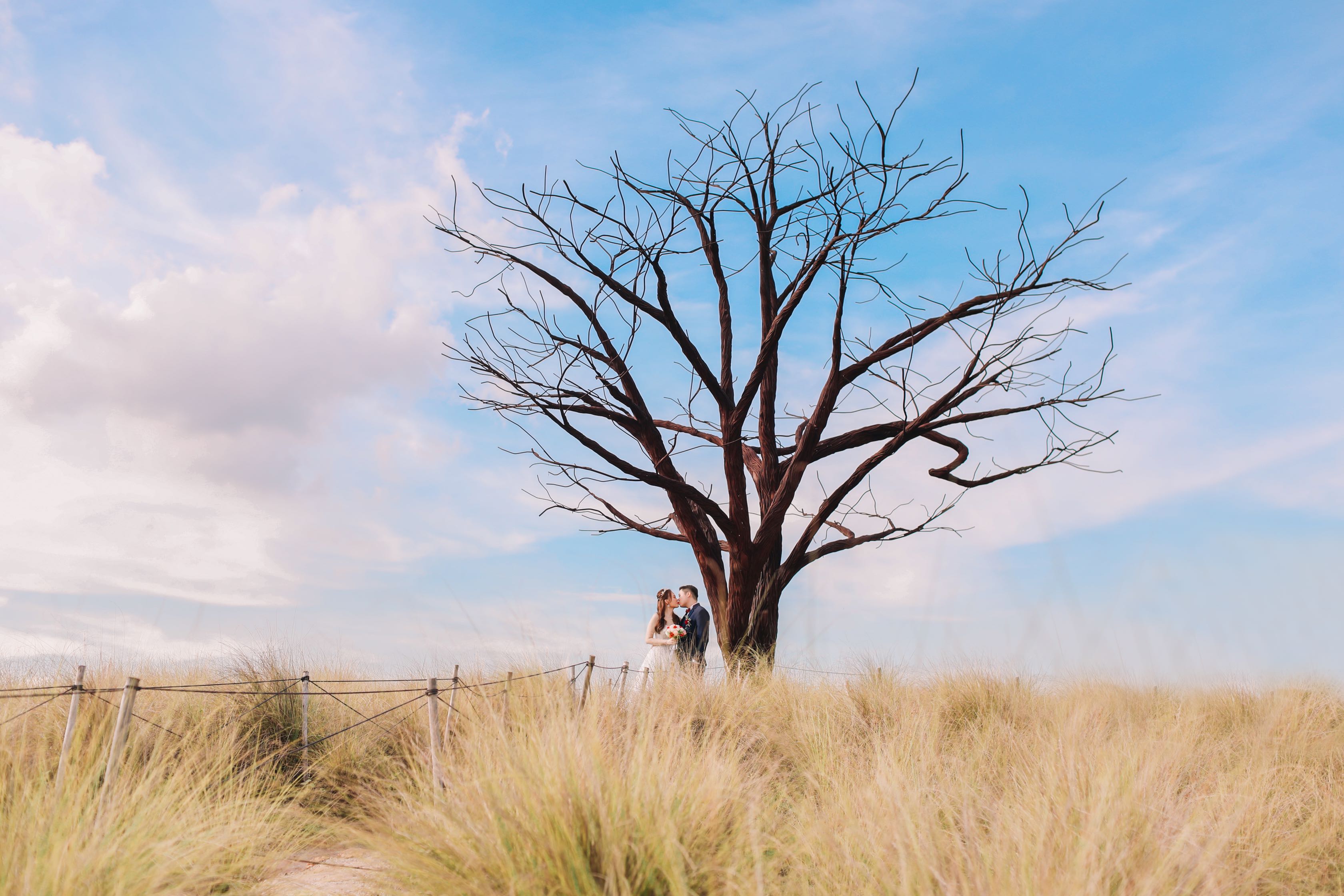 (Category: ) located in . Submitted by ericphotography (Listing ID 1028167140, Image 1). Description: .