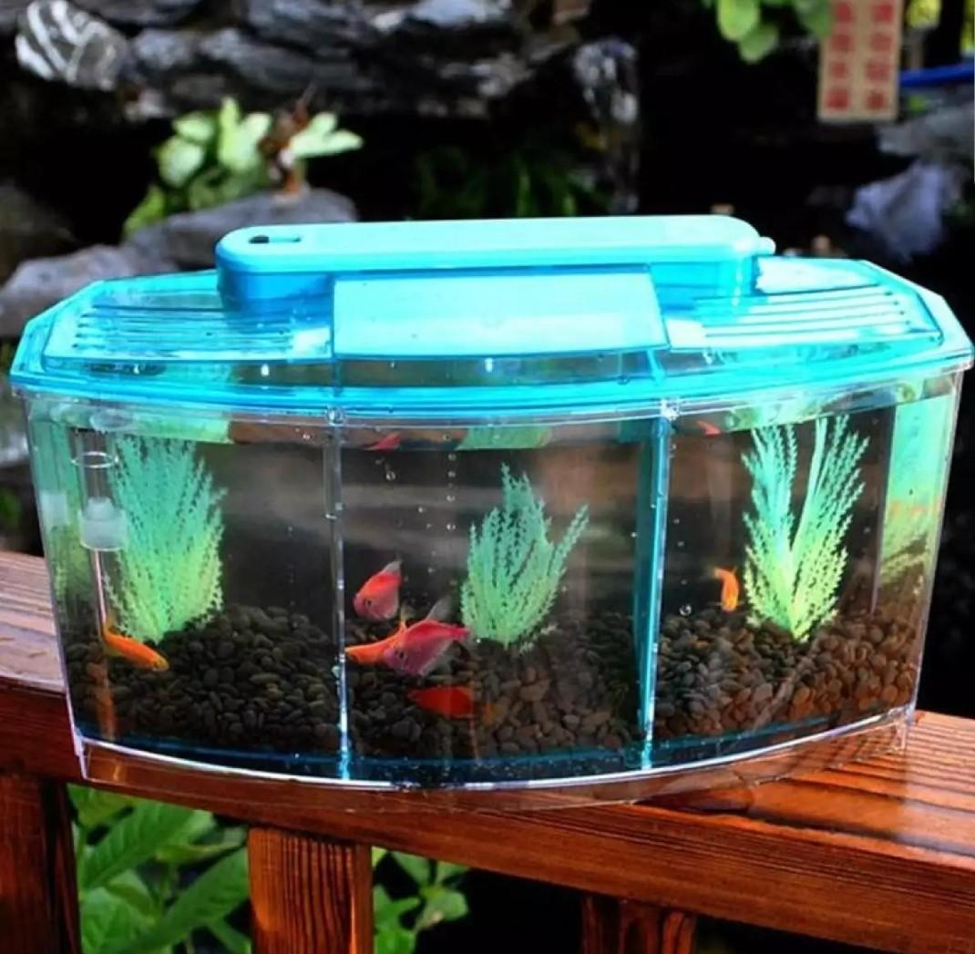 New. $13.50- 3 compartment betta tank. size 28x15x10cm. Fighting fish tank  that can hold 3 betta. Fish tank come with built in fish tank led light.