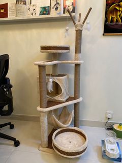 （分類：）位於 。 由 mistawong 提交（商品編號 1107830570，圖片 1）。簡介： 。
