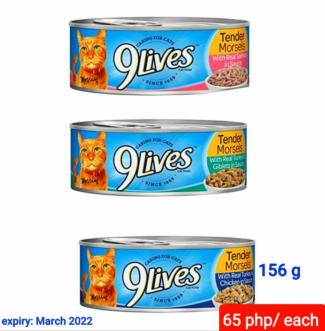 Vivid 9 Lives Can Cat Food View Art Vivid 9 Lives Can Cat Food View Art