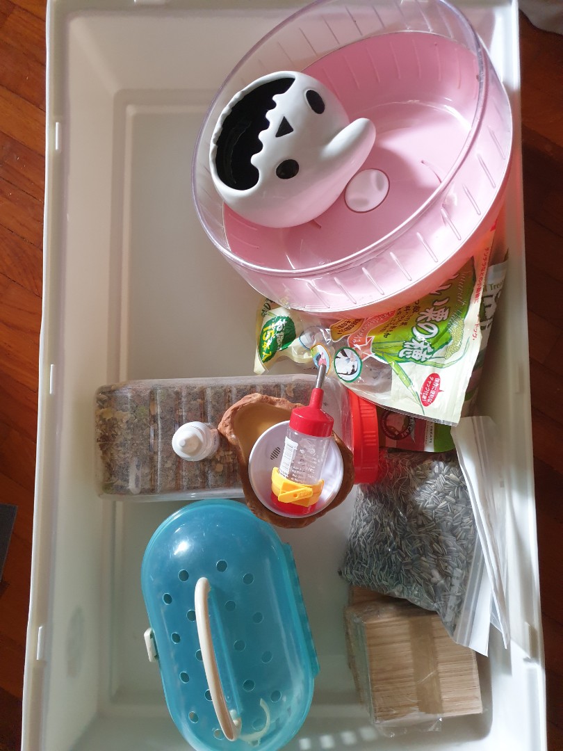 cheap hamster stuff