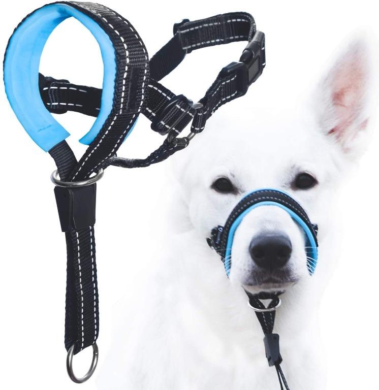 GoodBoy Dog Head Halter with Safety Strap Stops Heavy Pulling On The Leash Padded Headcollar for