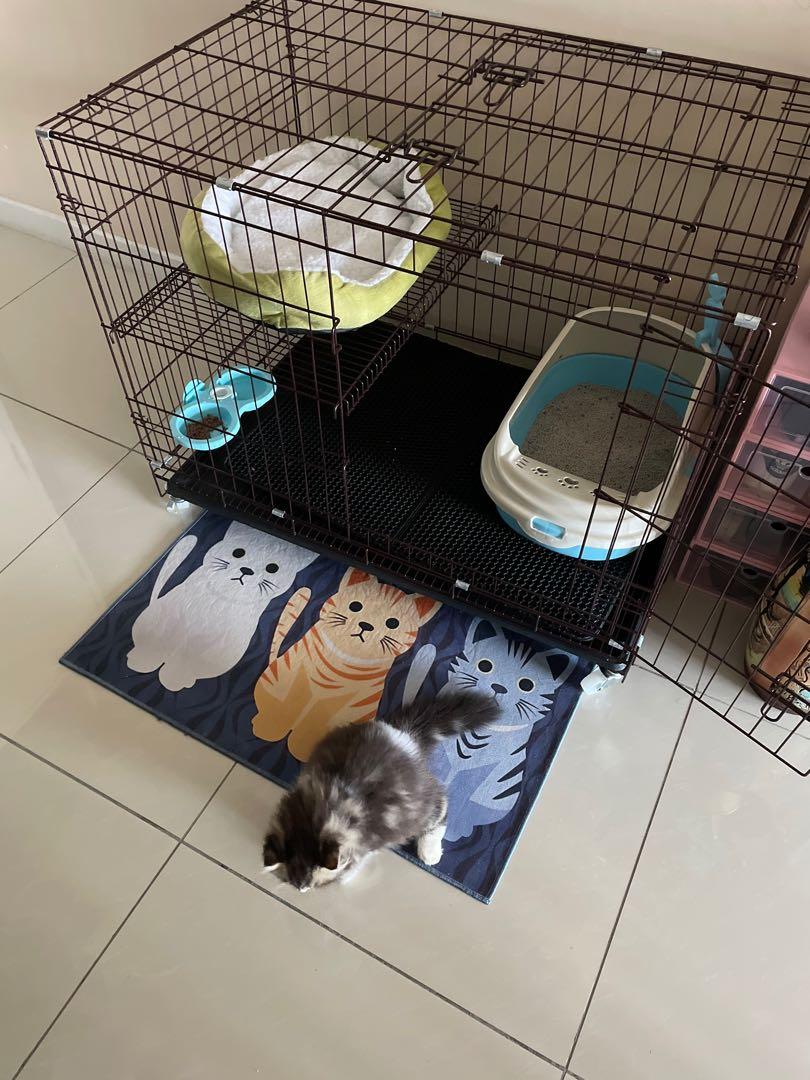 Sangkar Kucing (Category: Homes & Other Pet Accessories) located in Bangi. Submitted by farhanis93 (Listing ID 1107736721, Image 2). Description: Baru guna seminggu . Beli RM280 . Good condition . Nego tipis 🥰.