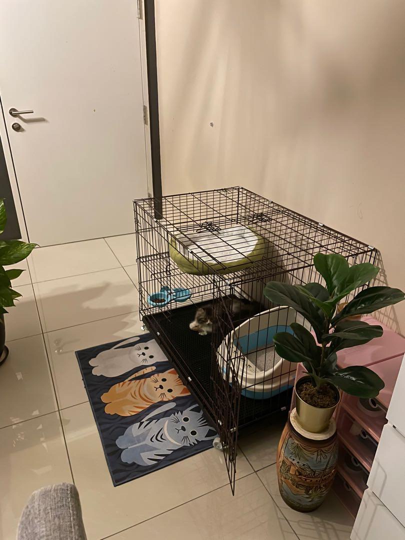 Sangkar Kucing (Category: Homes & Other Pet Accessories) located in Bangi. Submitted by farhanis93 (Listing ID 1107736721, Image 1). Description: Baru guna seminggu . Beli RM280 . Good condition . Nego tipis 🥰.