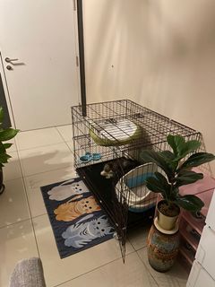 (Category: ) located in . Submitted by farhanis93 (Listing ID 1107736721, Image 1). Description: .