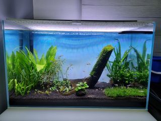 (Category: ) located in . Submitted by cardax11 (Listing ID 1108071849, Image 1). Description: .