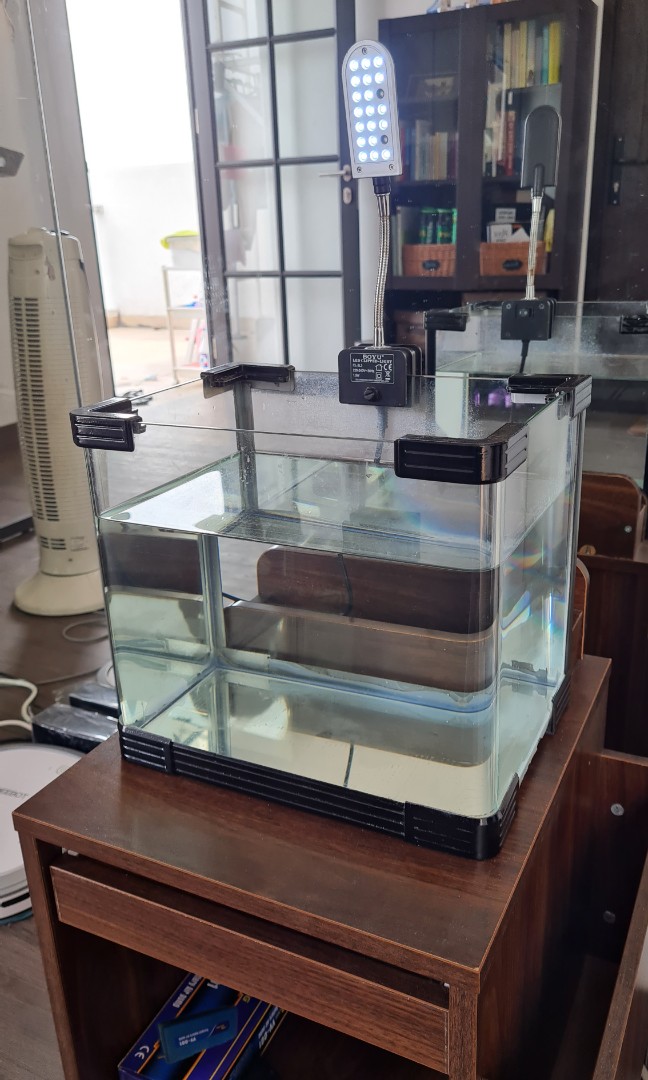 Aquarium Boyu 16 Liter, Perlengkapan Hewan, Aksesoris Hewan di Carousell