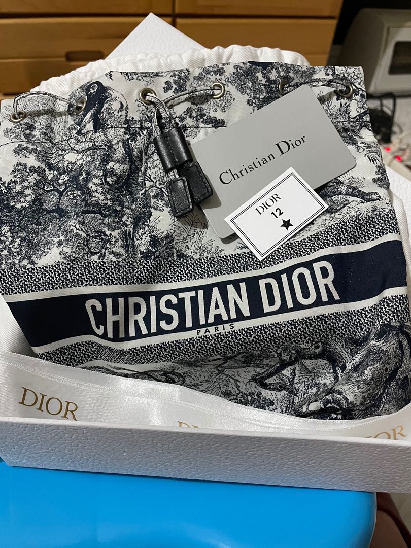 Dior travel pouch