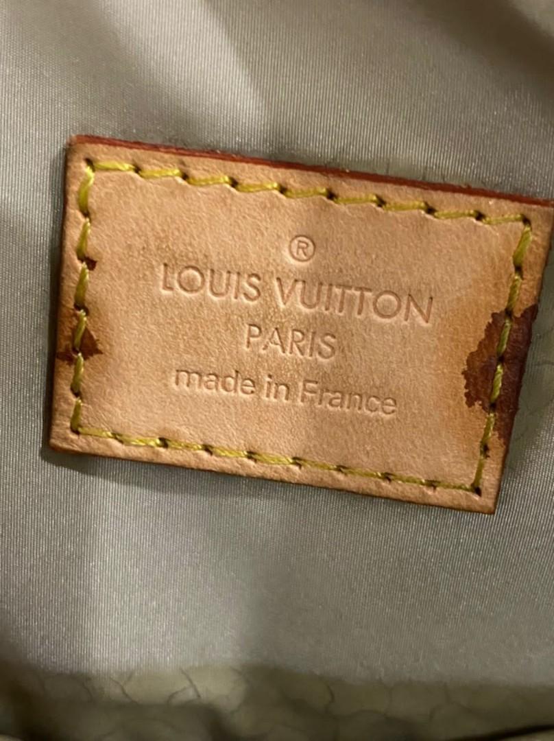 Louis Vuitton Louis Vuitton Terre Damier Geant Canvas Loup