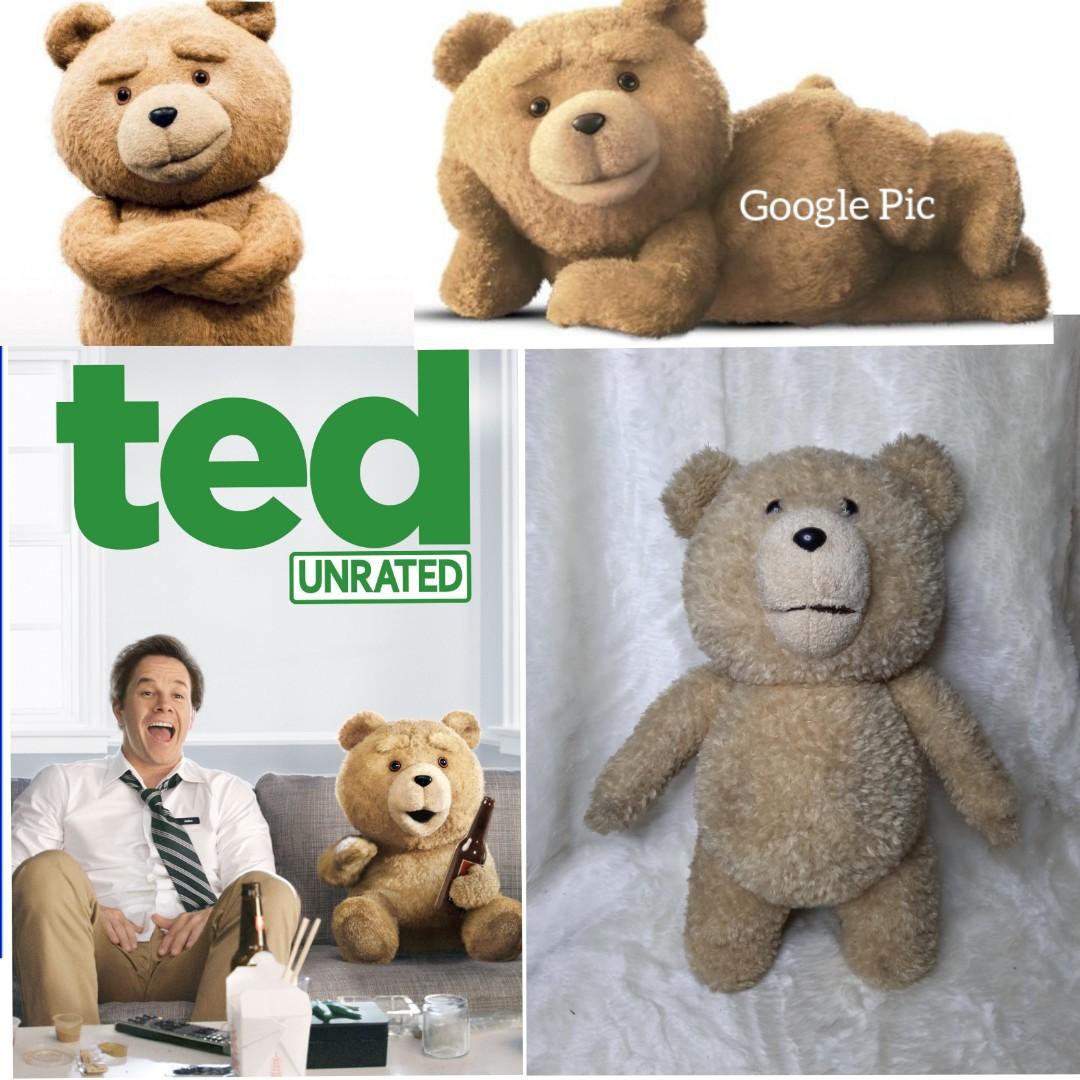 TED Bear Talking Moving Mouth 16