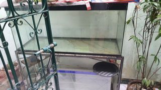 (Category: ) located in . Submitted by laodini (Listing ID 1108089086, Image 1). Description: .