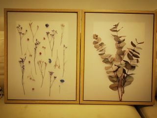 (Category: ) located in . Submitted by marania (Listing ID 1108208171, Image 1). Description: .