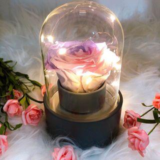 Customize 🎶 Rhapsody Flower Dome🌹 Rotating Musical Box Mothers Day Anniversary Monthsary  Graduation Birthday Teacher’s Day Gift Preserved Flowers Bouquet Glass Dome Globe LED Fairy Lights Courier Personalize Rainbow Rose