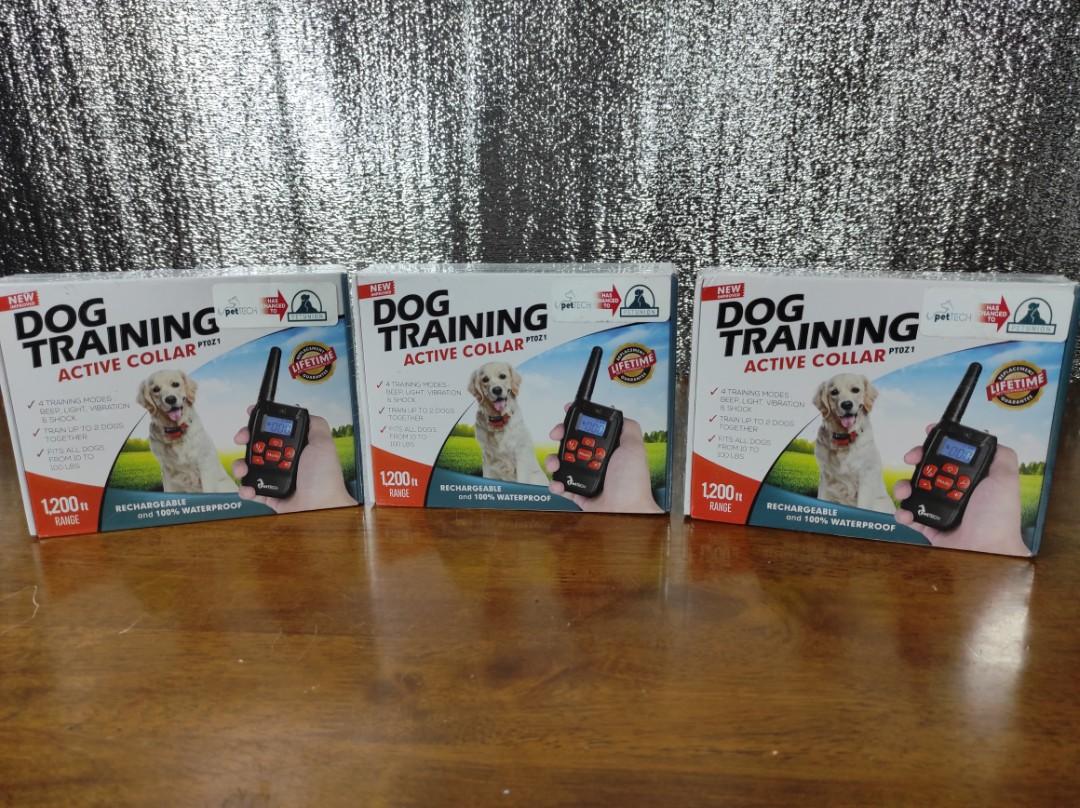 Pettech dog training active collar sales