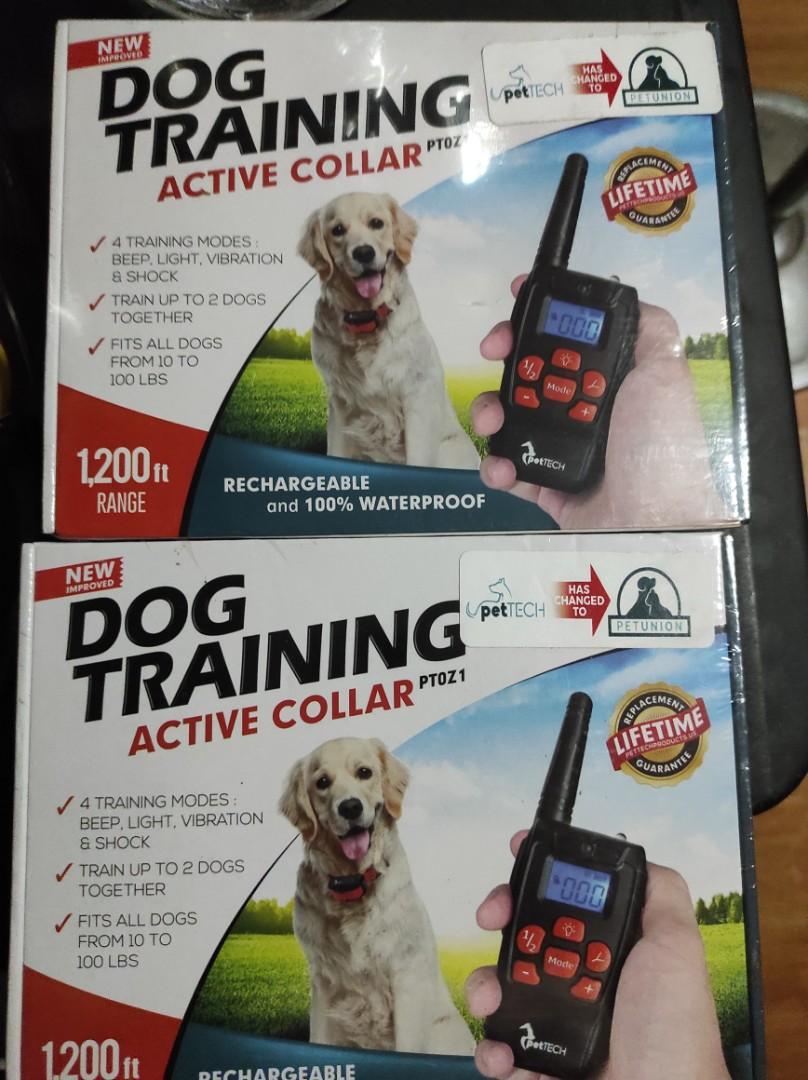 Dog training top active collar