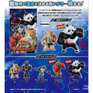 （分類：）位於 。 由 ltjomud9 提交（商品編號 1108204327，圖片 1）。簡介： 。