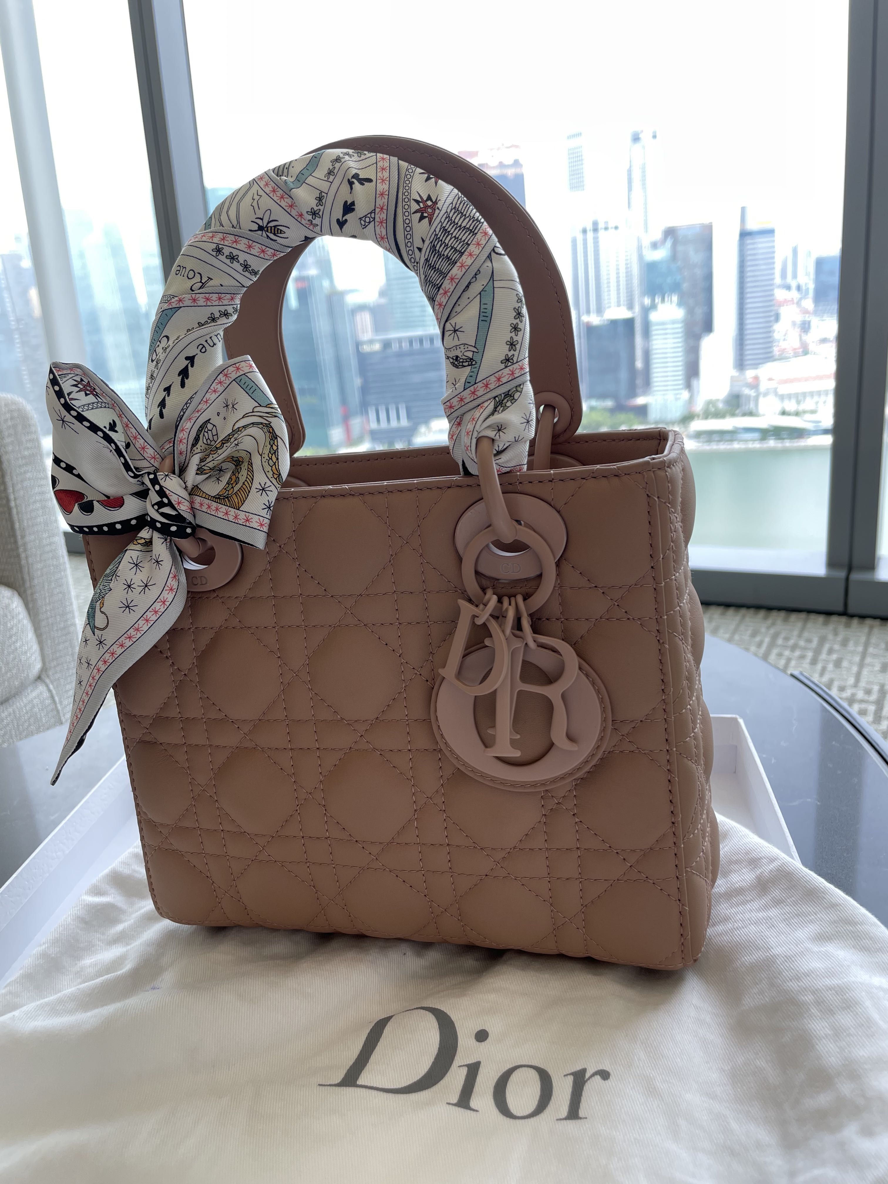 CHRISTIAN DIOR The Lady Dior Calfskin Chain Pouch Bag Blush Ultramatte