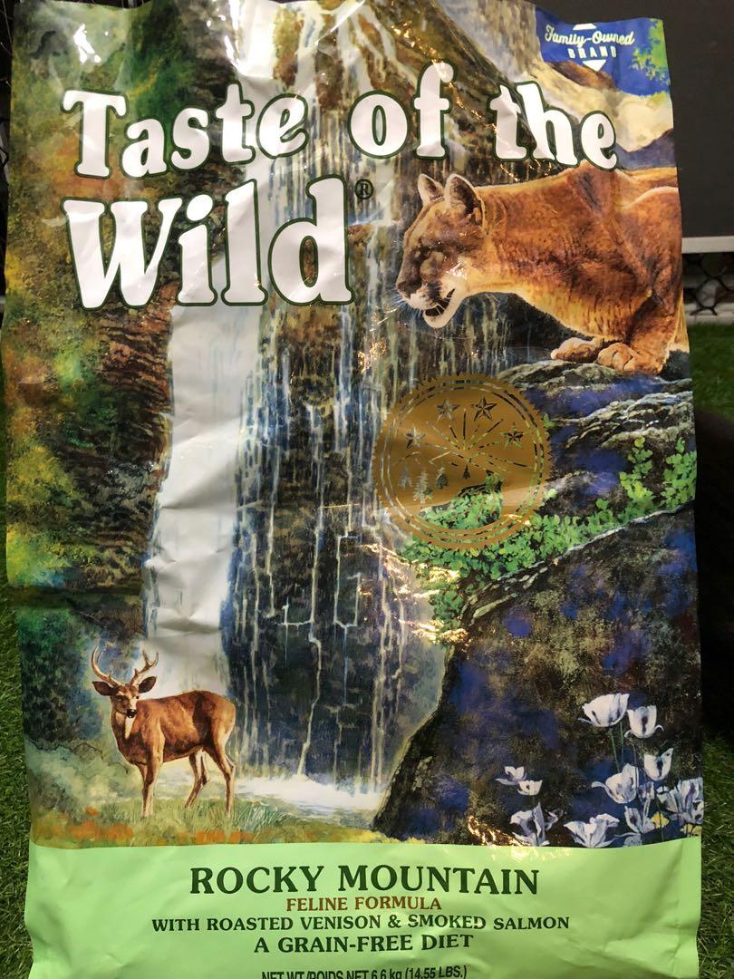 taste of the wild kitten