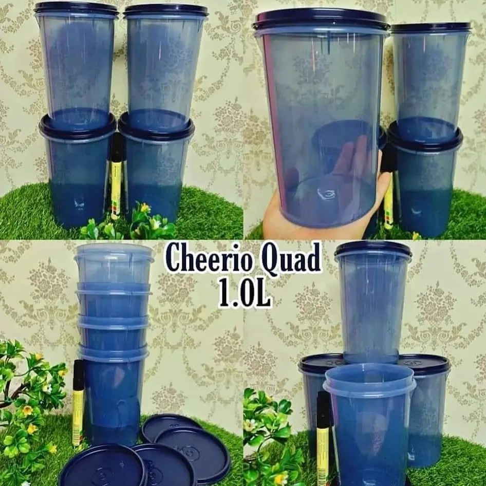 Cheerio quad tupperware