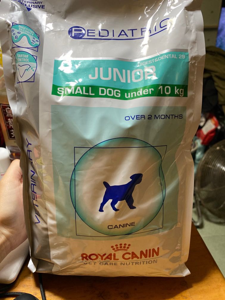 pediatric junior small dog