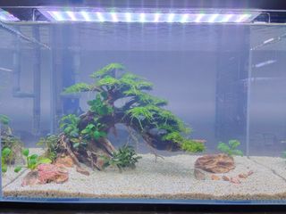 (Category: ) located in . Submitted by prel0veitem (Listing ID 1104674138, Image 1). Description: .