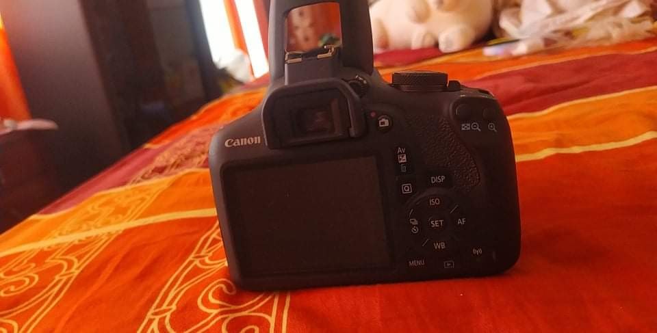 canon 1500d autofocus points