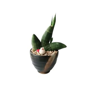 (Category: ) located in . Submitted by moo.nicholas (Listing ID 1104604364, Image 1). Description: .
