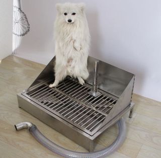 (Category: ) located in . Submitted by Petjunior (Listing ID 1104665765, Image 1). Description: .