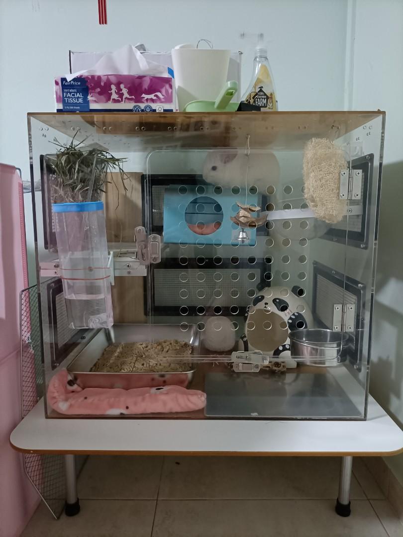 Acrylic chinchilla cage cheap