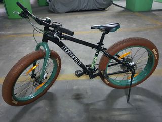 GIANT Momentum Rocker Fat Bike Sports Equipment Bicycles Parts