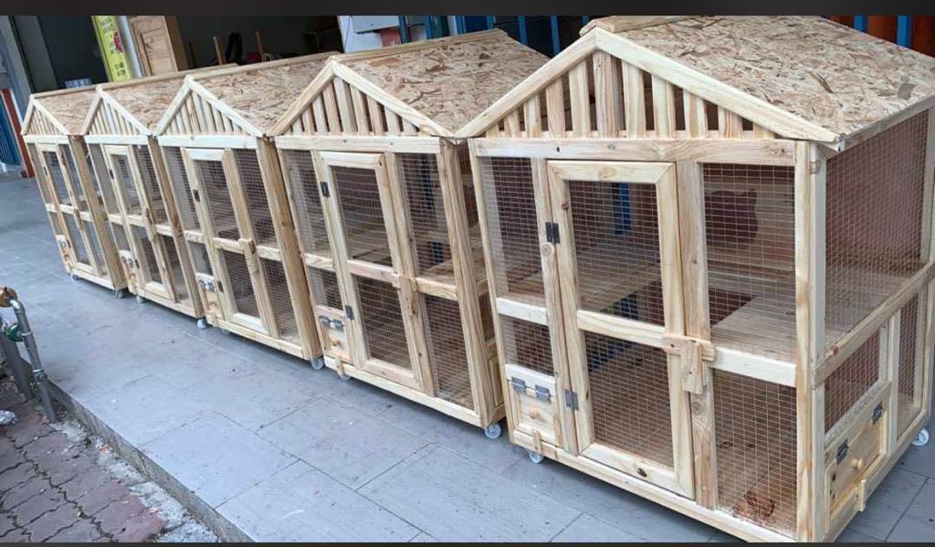 Rumah/Sangkar Kucing Berbumbung, Pet Supplies, Pet Accessories on 